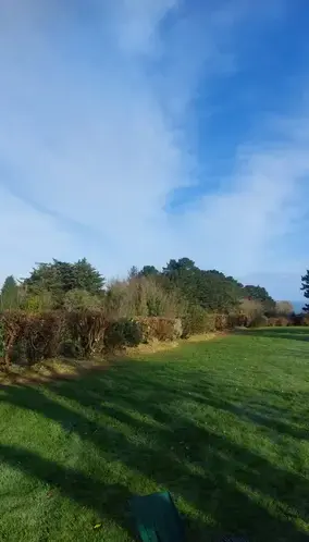 arboriste Lantic-4