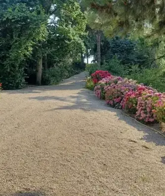 arboriste Plérin-4