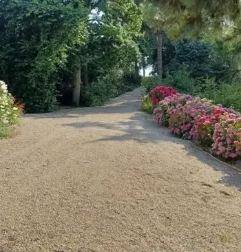 arboriste Saint-Brieuc-2