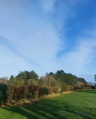 jardinier Plérin-5