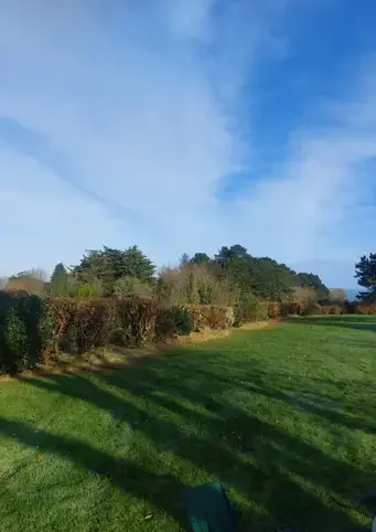 paysagiste Plérin-3