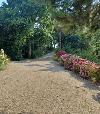 paysagiste Saint-Brieuc-2